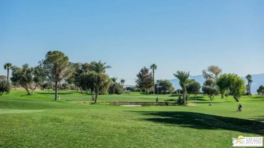 Greenery In The Desert