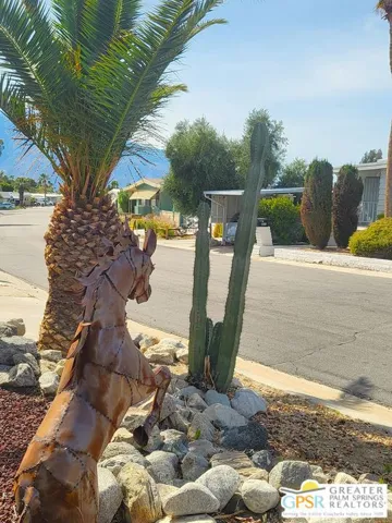 Exciting Curb Appeal