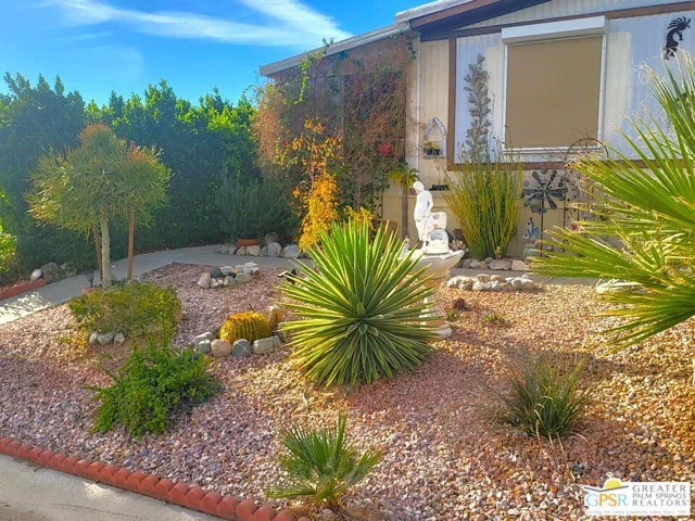 Wonderful Curbside Desert Scap