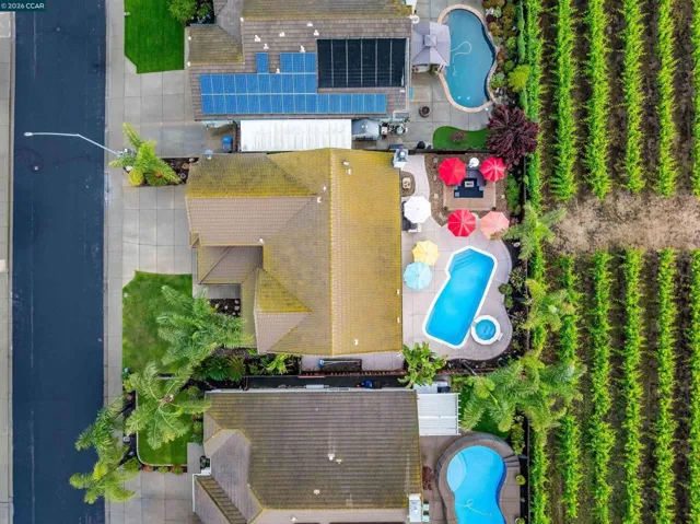 523 Whitehall Ct, Oakley, California 94561