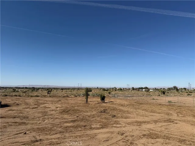 View from the backyard