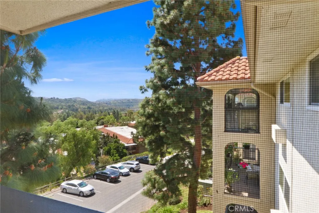 View from the patio