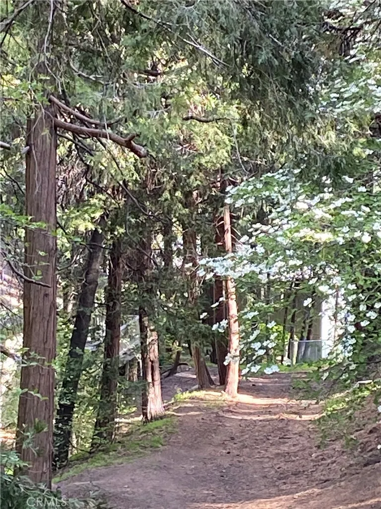 Trail behind the house 50 yard walk to the lake.