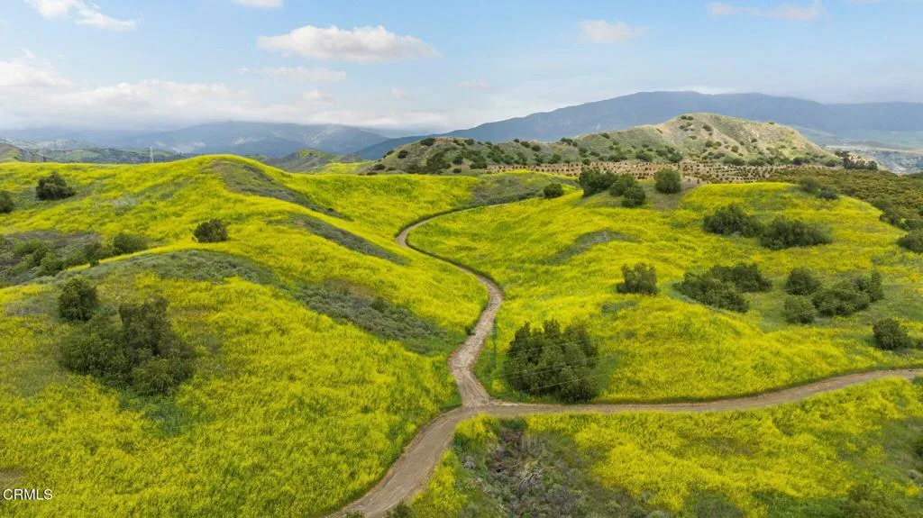 Vast Grasslands