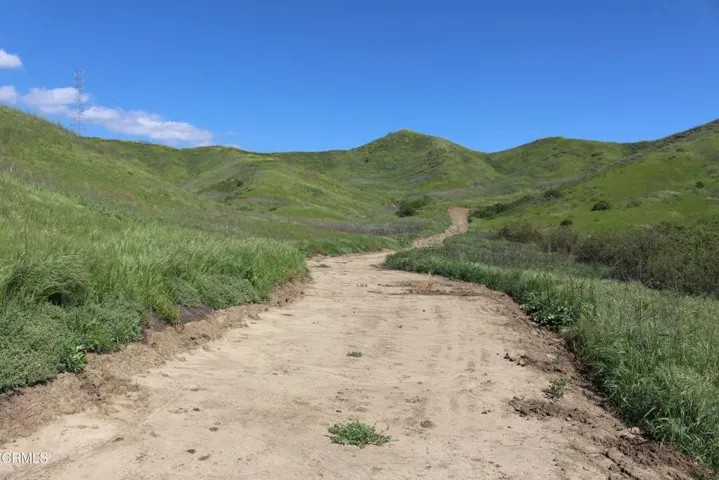 IMG_6113