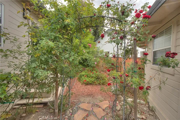 Side Garden