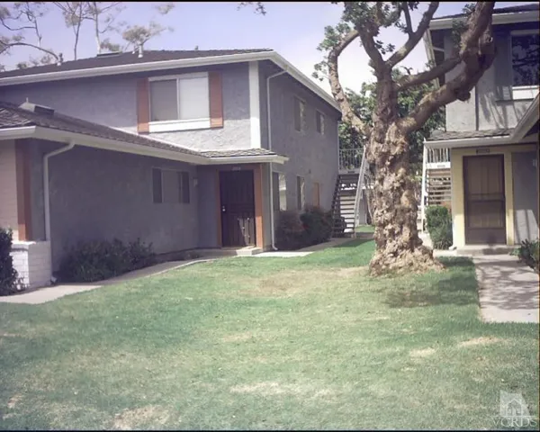 Primary Photo