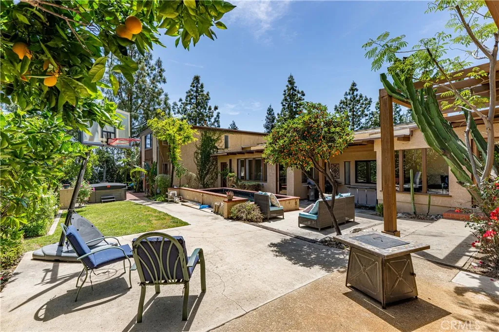 Backyard & Pool