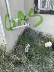 1003 W Rialto Avenue, San Bernardino, California 92410