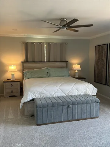Primary Bedroom #3