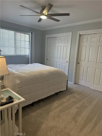 Downstairs Bedroom