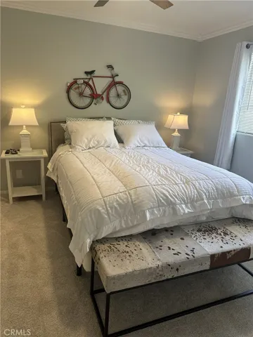Downstairs Bedroom