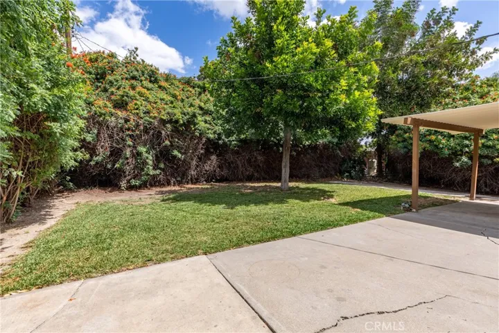 Backyard