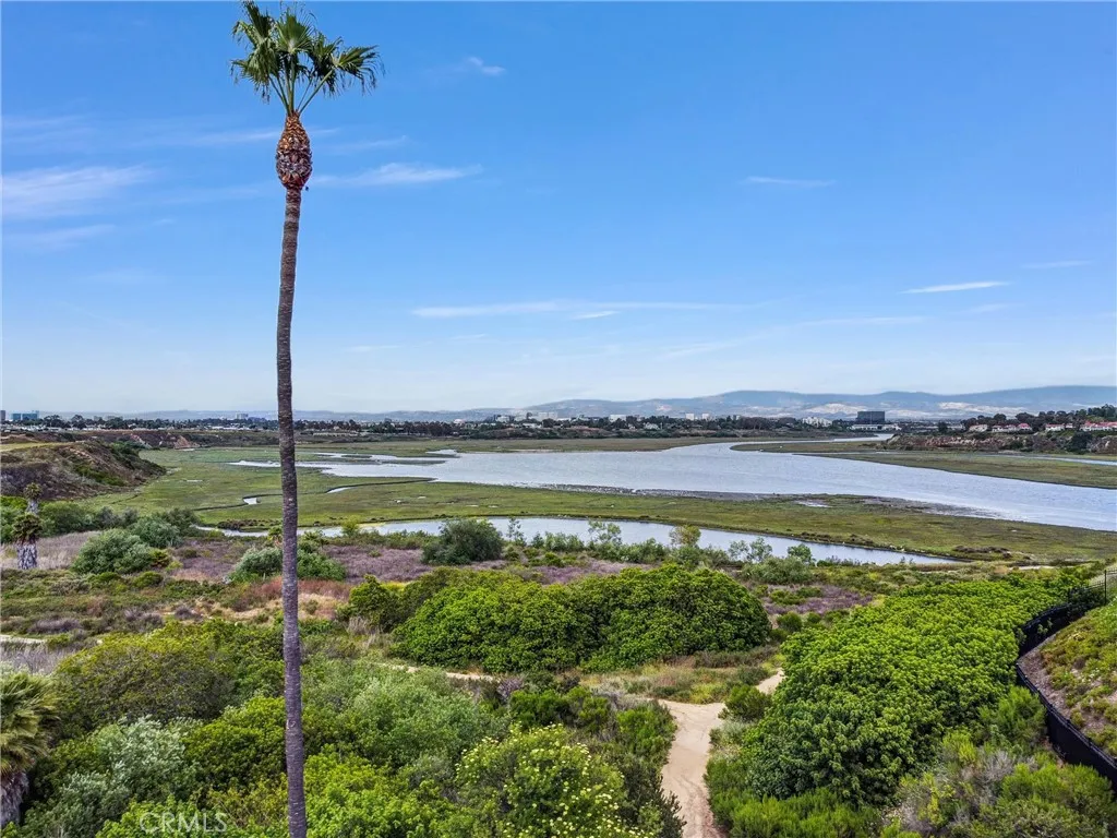 The Back Bay is so vast, enough open space, something for everyone!