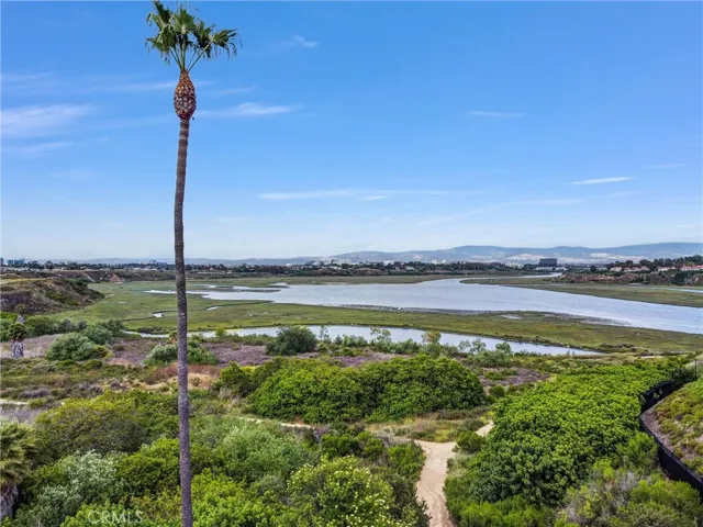 The Back Bay is so vast, enough open space, something for everyone!