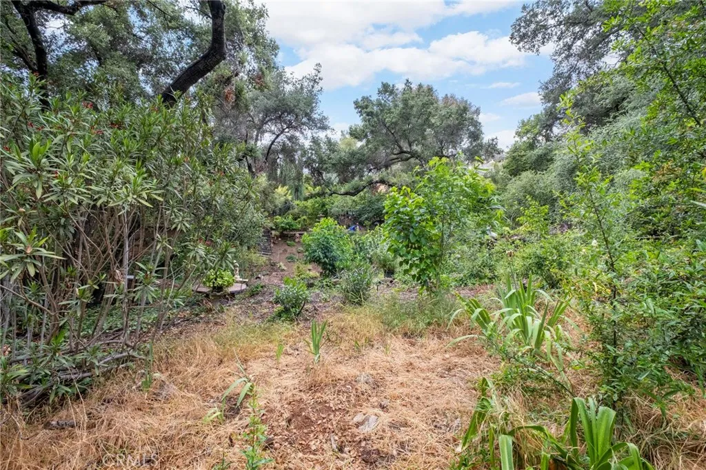 42185 Oak Canyon, Hemet - 10 Acres