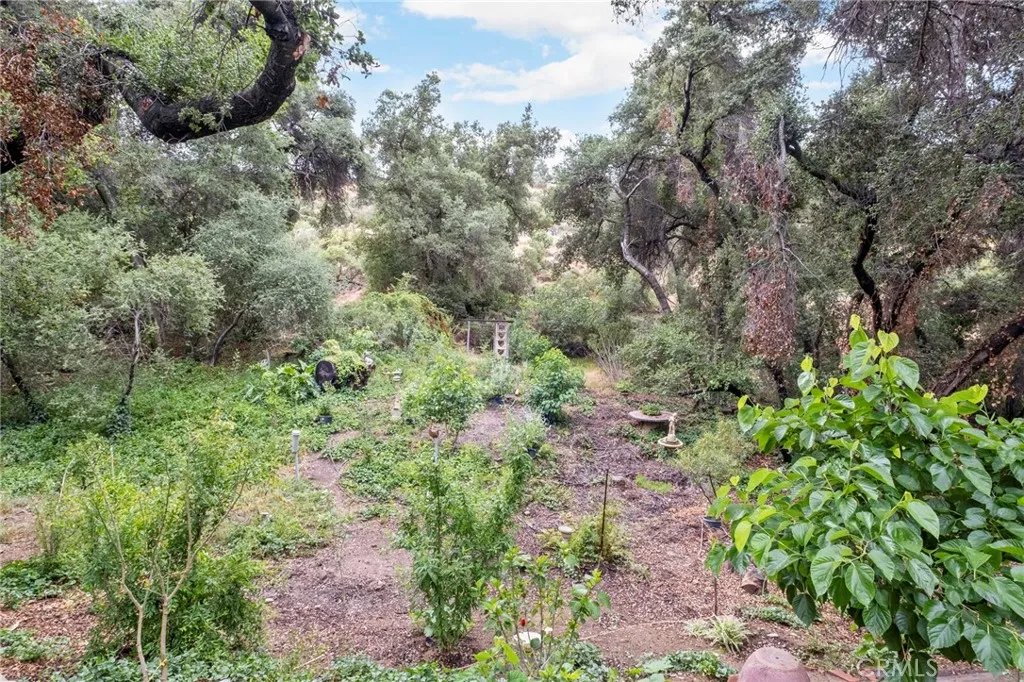 42185 Oak Canyon, Hemet - 10 Acres