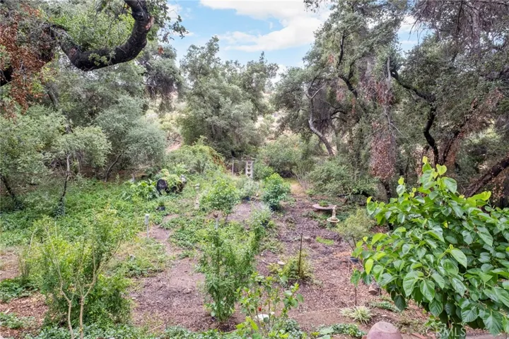42185 Oak Canyon, Hemet - 10 Acres