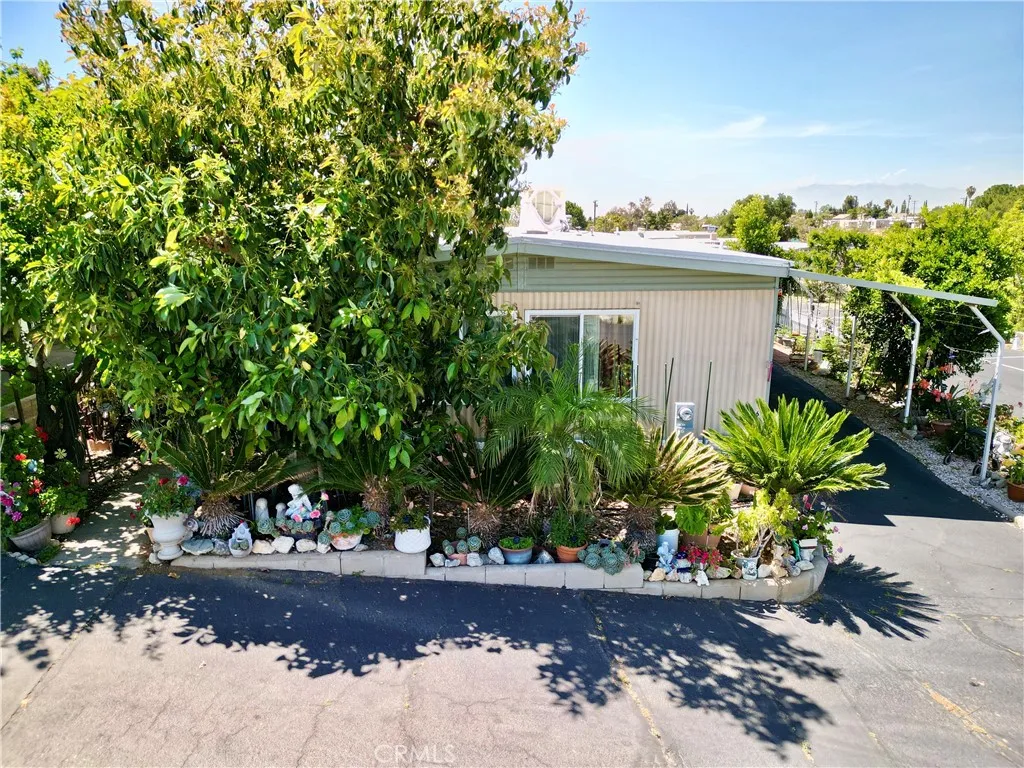 Lots of fruit trees