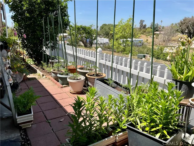 Garden area
