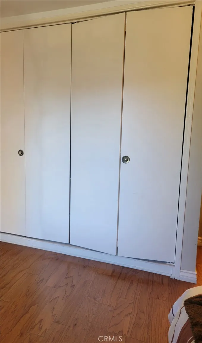 Downstairs Bedroom Closet