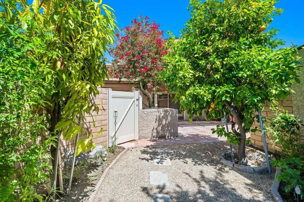 19-web-or-mls-DFCatalina_OPMG_0426_019