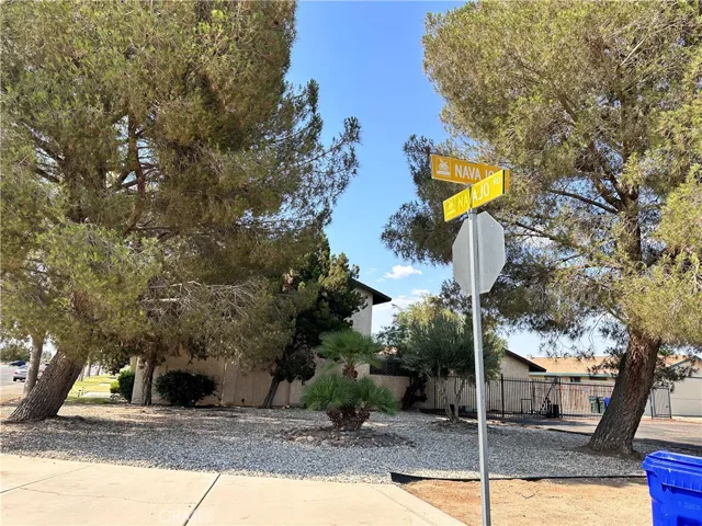 Front Garden Area