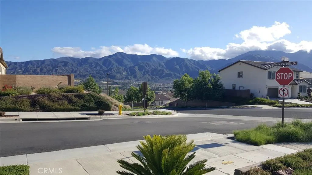 VIEW FROM HOME