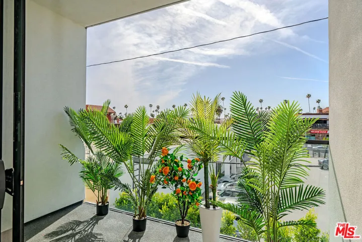 321 S Oxford Avenue 203, Los Angeles, California 90010