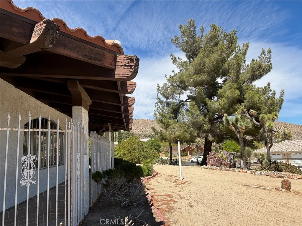 Front yard