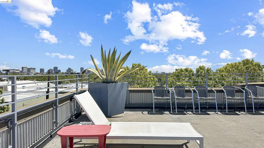 Rooftop patio featuring metal railings, a large planter with a succulent, and city skyline in the distance
