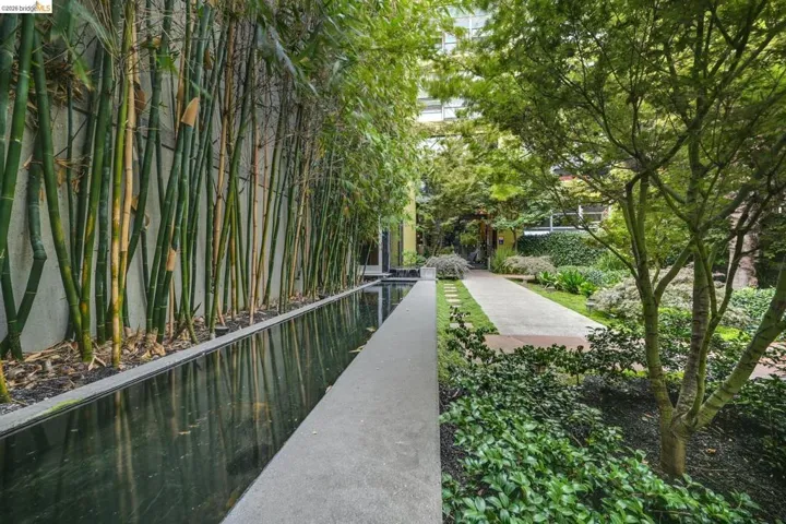Contemporary exterior landscaping featuring a reflecting pool, bamboo privacy screen, concrete pathway, diverse plantings, and mature trees