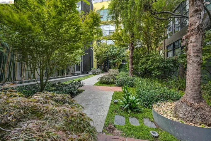 Landscaped courtyard featuring a concrete pathway, diverse plantings, and mature trees