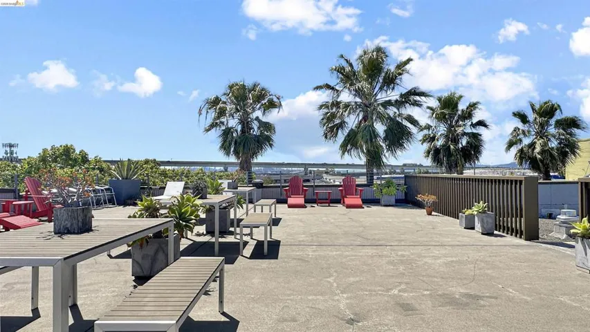 Spacious rooftop terrace with multiple seating areas, mature palm trees, and perimeter landscaping