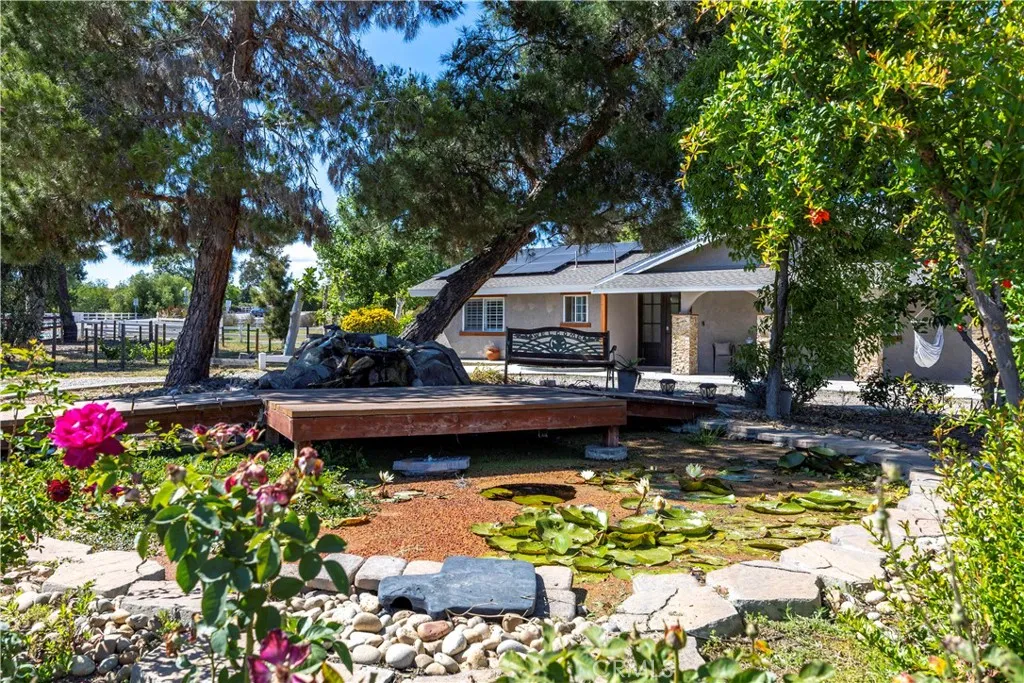 Koi pond