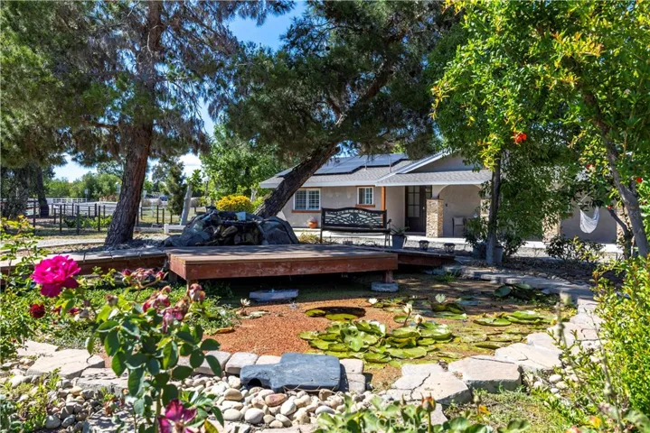 Koi pond