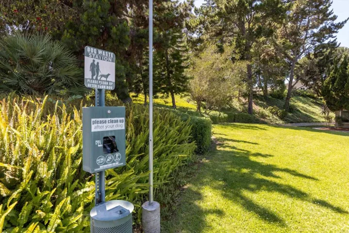 Community Dog Park