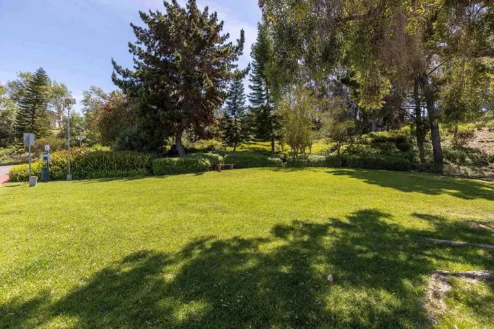 Community Park