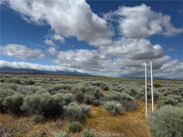 White poles are on the property