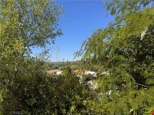 View from back of home.