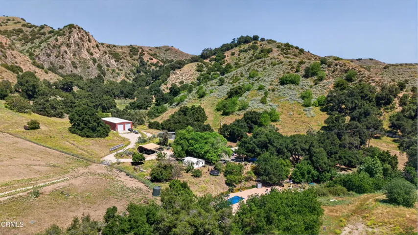 Pasture