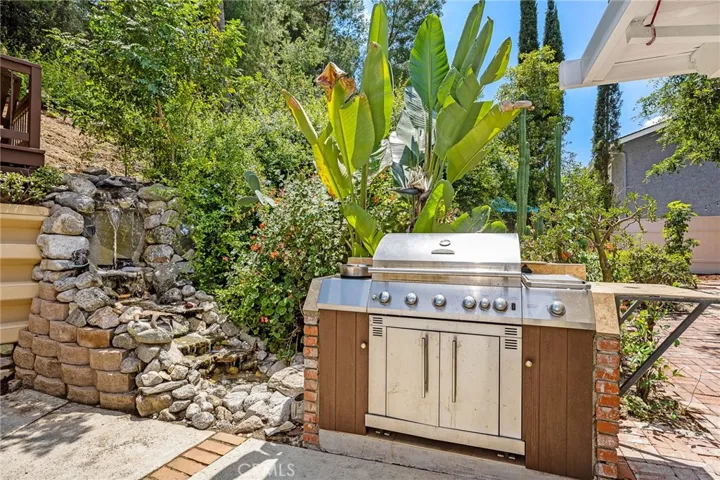BBQ and water feature