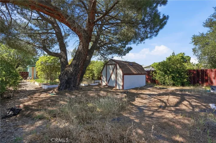 Backyard w/ Shed