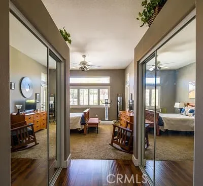 Primary Entry - Closets