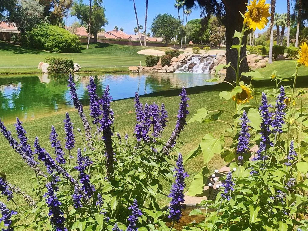 IMG_20260423_122841291_HDR