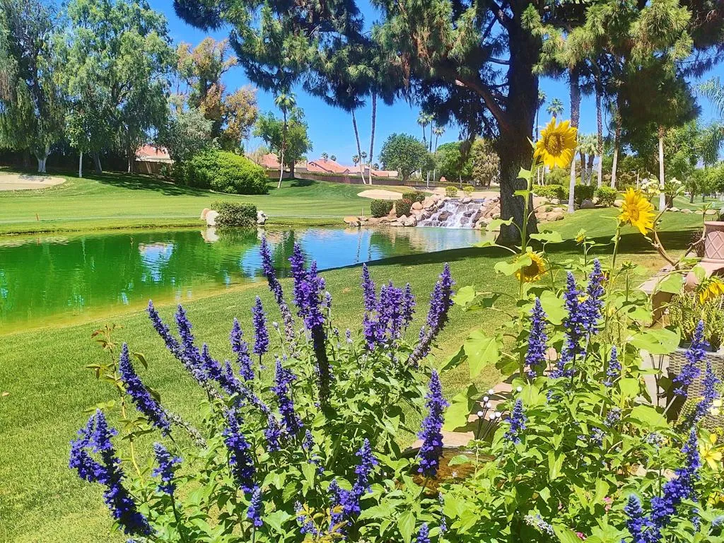 IMG_20260423_122846616_HDR