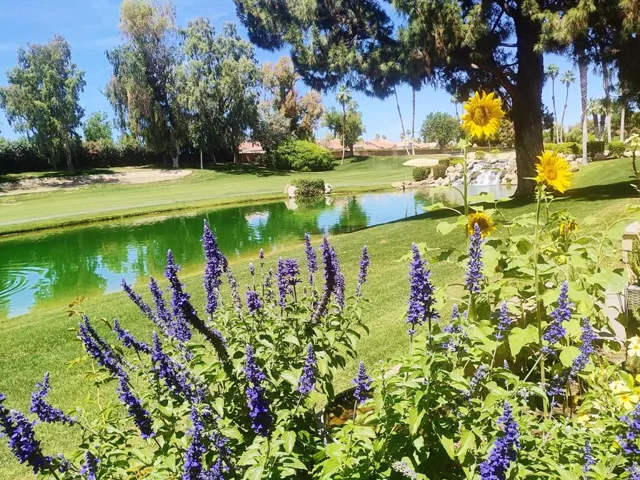 IMG_20260423_122752705_HDR