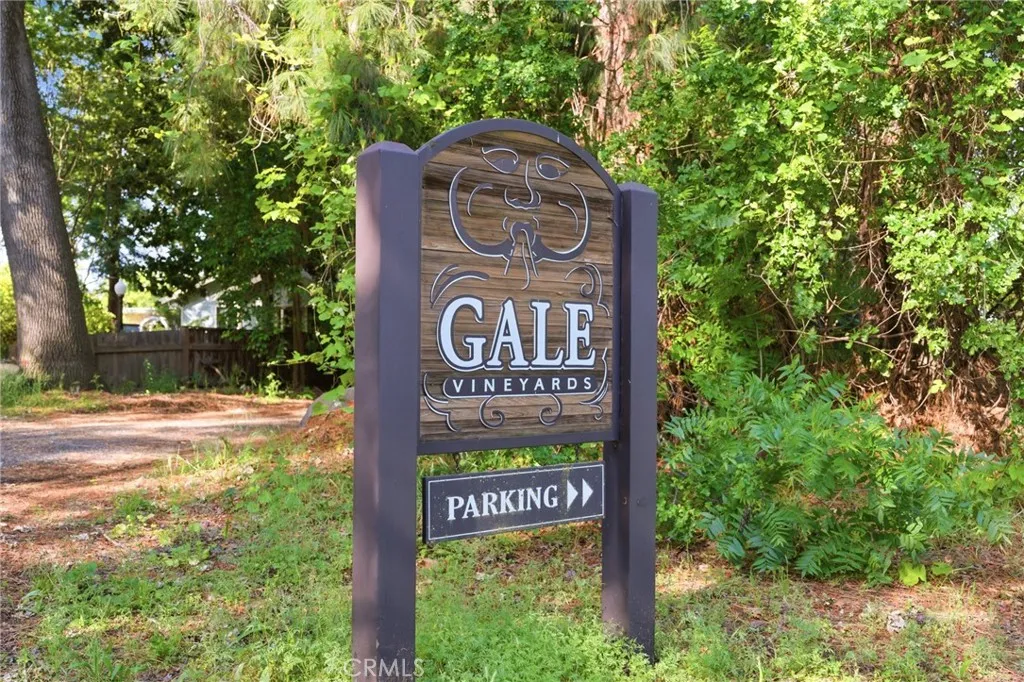 Gale Vineyard