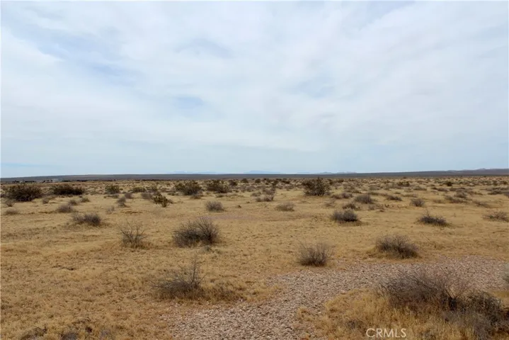40 acres!