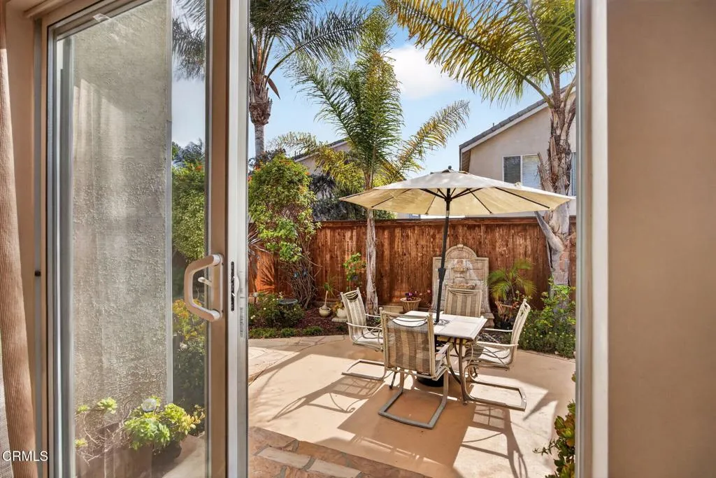 Backyard 1 641